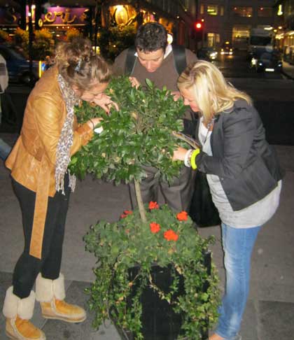 A team does a pose on the City Christmas Treasure Hunt.