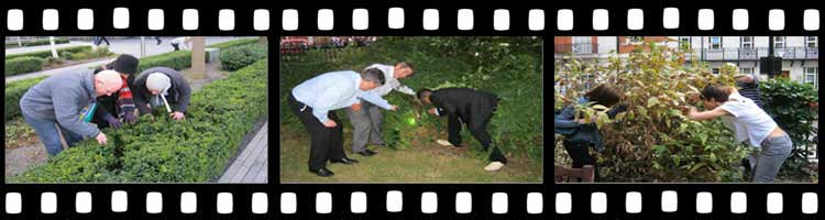 People completing their challenges on the Chiswick Treasure Hunt.