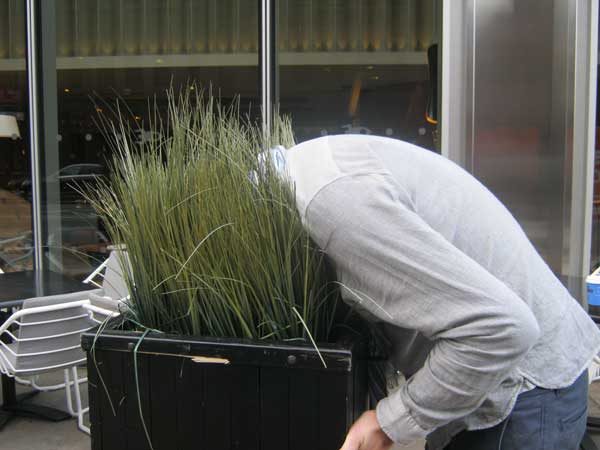 A man with his head in a pot of grass.