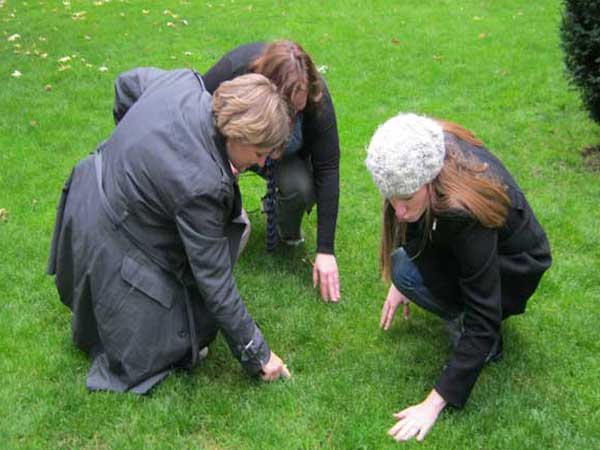 Three women search for a clue on a lawn.