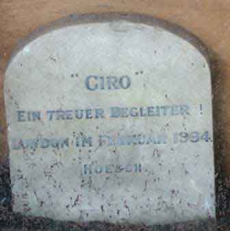 The grave of the German Ambassadors dog.